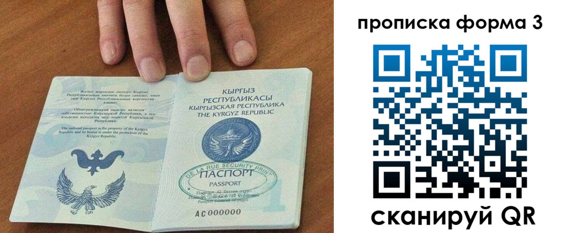 прописка 2025 в Данилове
